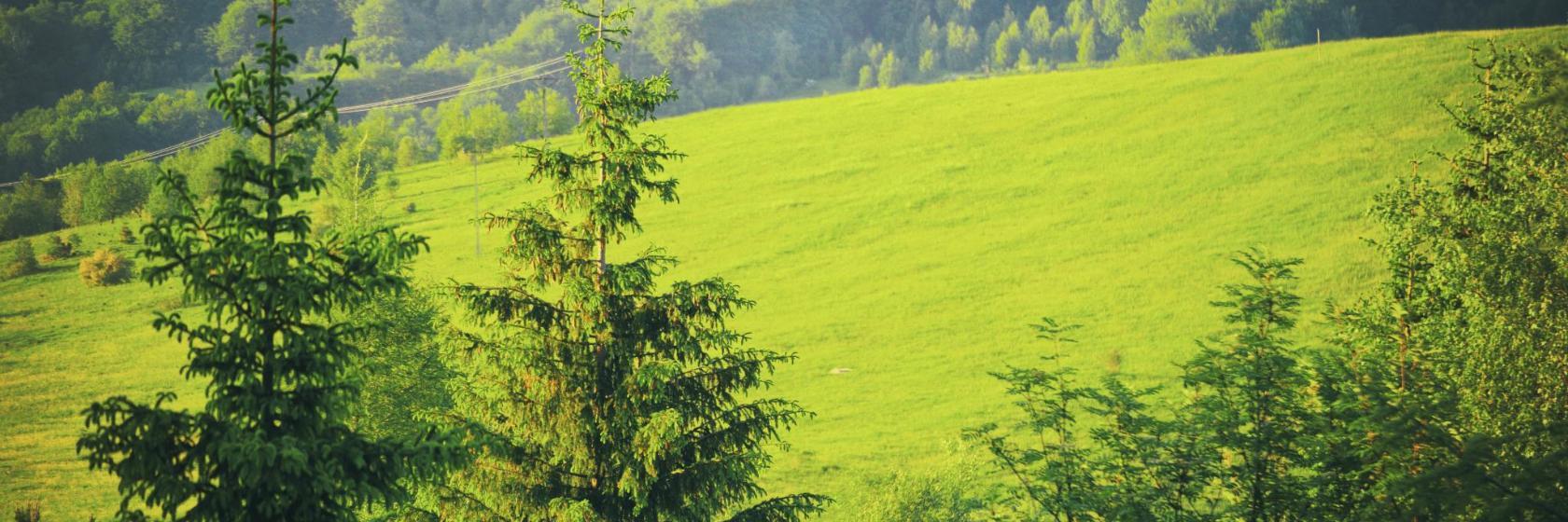 Bieszczadzki Park Narodowy